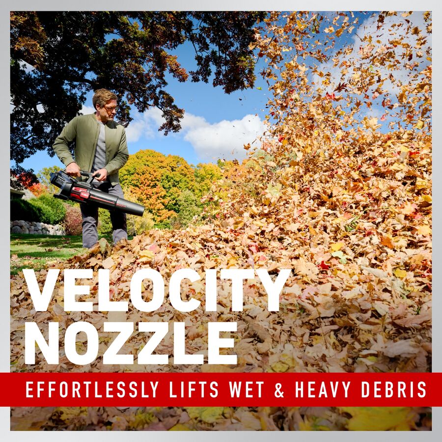 Toro Leaf Blower - Thumbnail 3